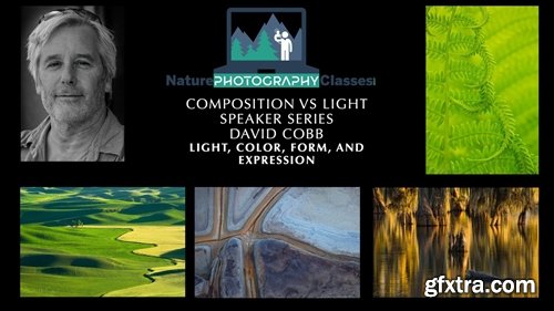 Nature Photography Classes - David Cobb - Light, Color, Form, and Expression