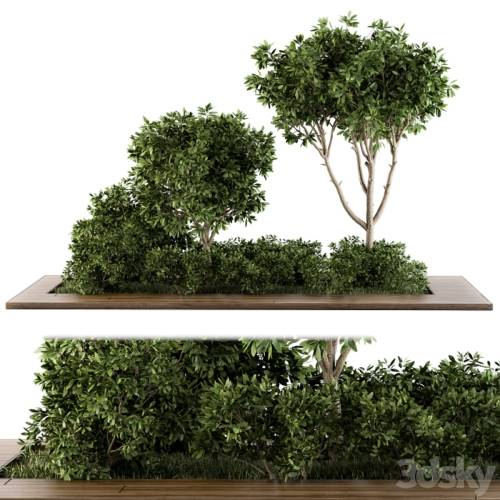'3dsky Pro - Garden set bush and Tree - Garden Set 07' '3dsky Pro - Garden set bush and Tree - Garden Set 07'