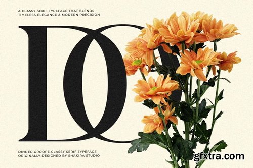 CreativeMarket - Dinner Grope Classy Display Serif