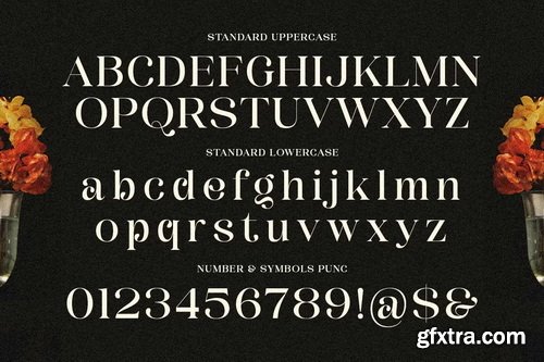 CreativeMarket - Dinner Grope Classy Display Serif
