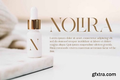 CreativeMarket - Nolira Elegant Serif Font