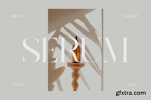 CreativeMarket - Nolira Elegant Serif Font