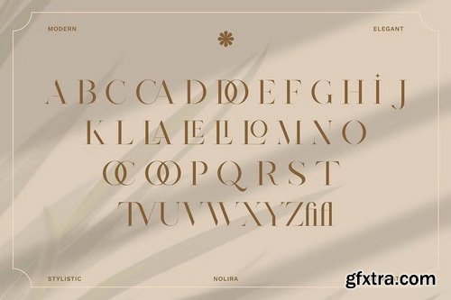 CreativeMarket - Nolira Elegant Serif Font