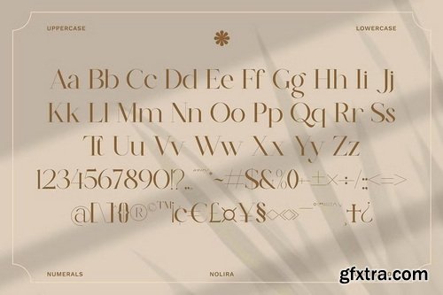 CreativeMarket - Nolira Elegant Serif Font
