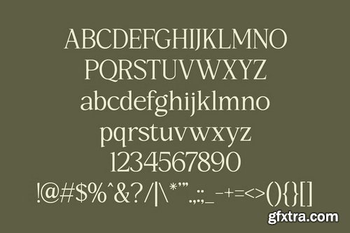 CreativeMarket - Rothen Aesthetic Serif Font