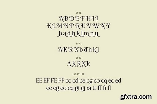 CreativeMarket - Rothen Aesthetic Serif Font