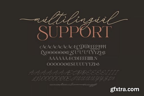 Primor Stylish Luxury Serif & Script Font