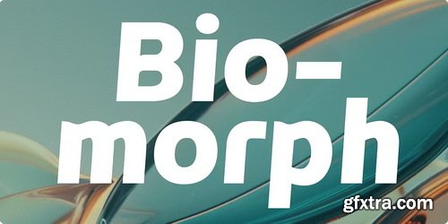 MyFonts - Enorm Font Family 16xOTF