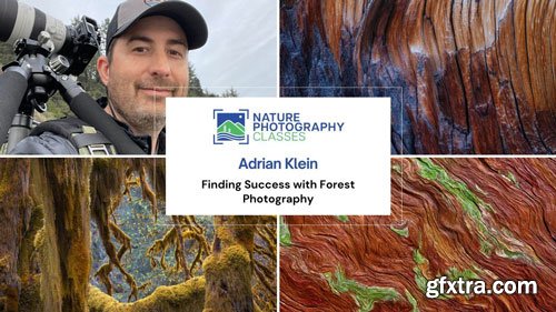 Naturephotocollective - Adrian Klein - Finding Success with Forest Photography