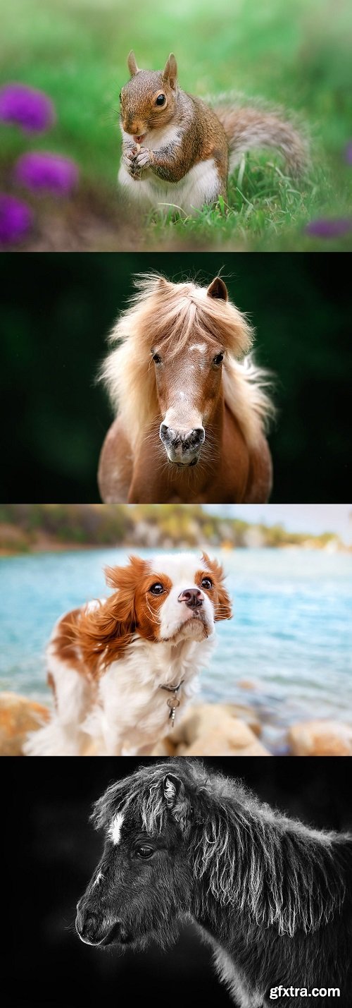 Greater than Gatsby - The Fur and Feathers Collection