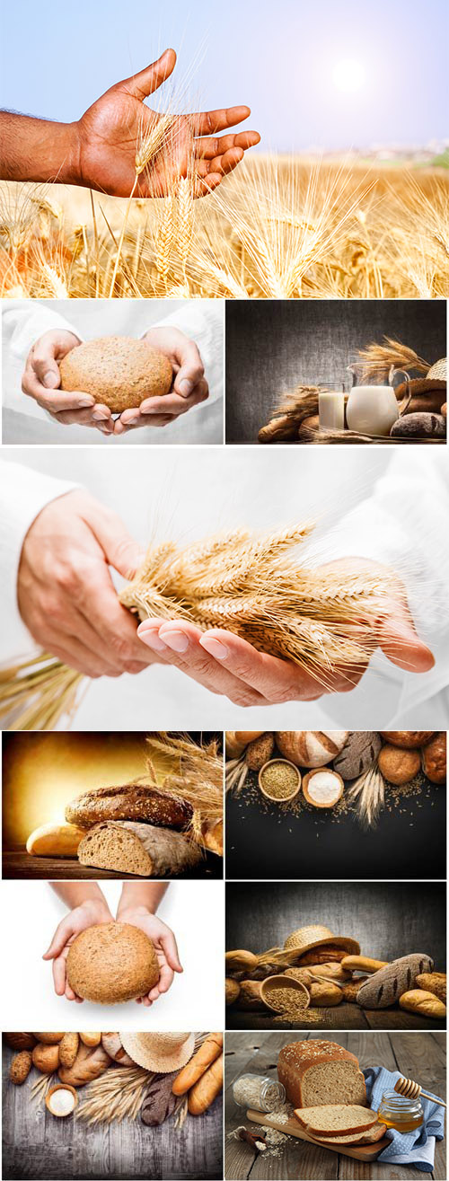 Fresh Bread and Wheat, Ears of Wheat in Man Hands 10xJPG