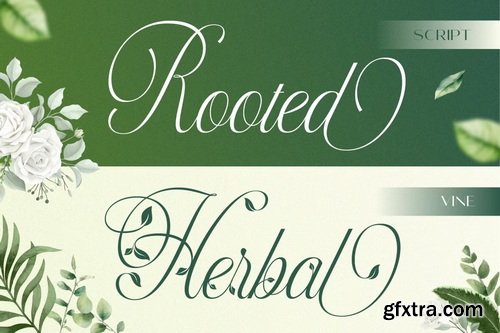 CreativeMarket - Herlyna Script Font