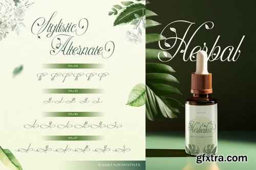 CreativeMarket - Herlyna Script Font