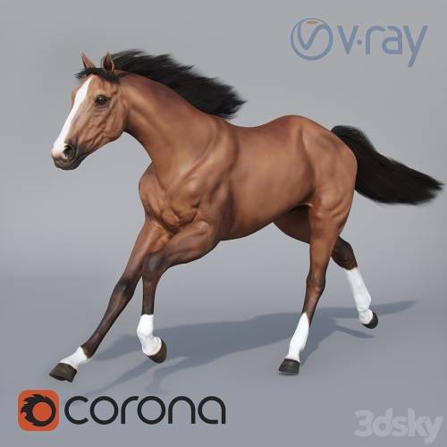 '3dsky Pro - Running horse 02'