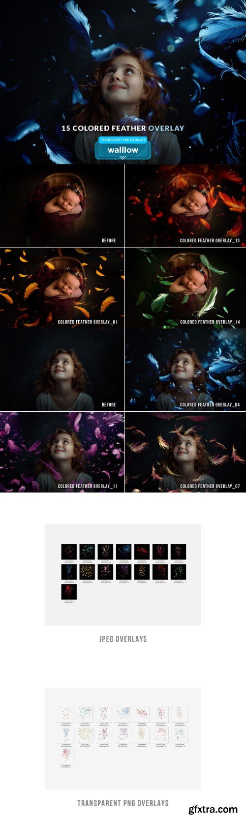 Creativemarket - Colorful Feathers Png Photo Overlays