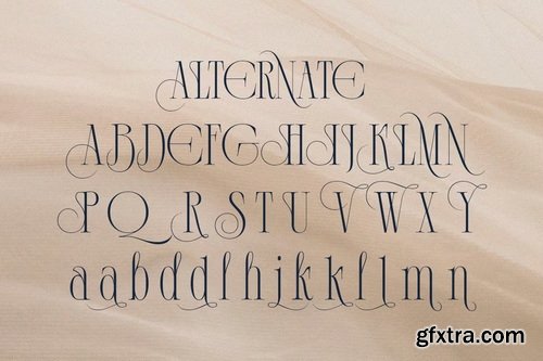 CreativeMarket - Demeris Modern Refined Serif