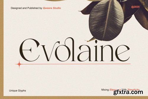 CreativeMarket - Evolaine Modern Elegant Minimalist