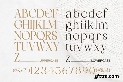 CreativeMarket - Evolaine Modern Elegant Minimalist