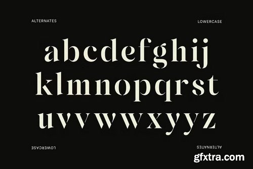 CreativeMarket - Fanquise Luxury Stencil Serif Font