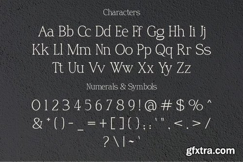 CreativeMarket - Rohelise Modern Serif Font