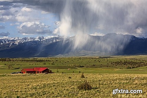 Nature Photographers Network - Mark Seaver - Macro Photography Workshop