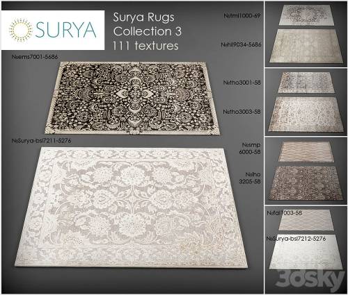 '3dsky Pro - Surya rugs 3' '3dsky Pro - Surya rugs 3'