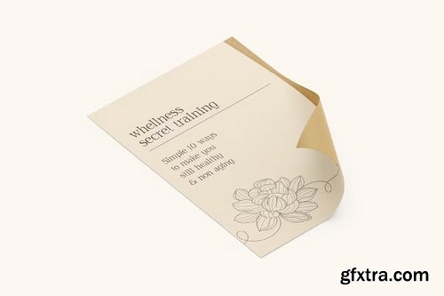 CreativeMarket - Asvata a Elegant Serif