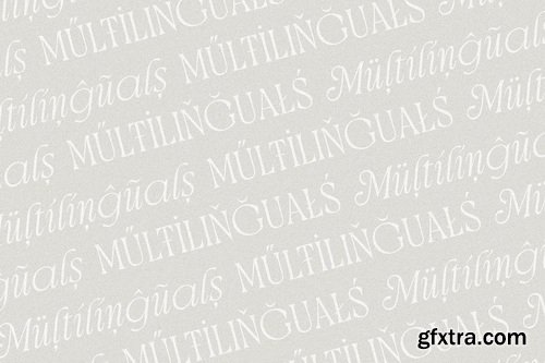 CreativeMarket - Brighty Harmony Serif font family