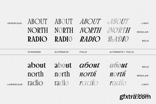CreativeMarket - Brighty Harmony Serif font family