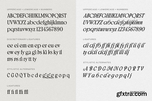 CreativeMarket - Brighty Harmony Serif font family