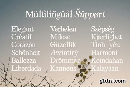 CreativeMarket - Carmine Raysford Nostalgic Serif