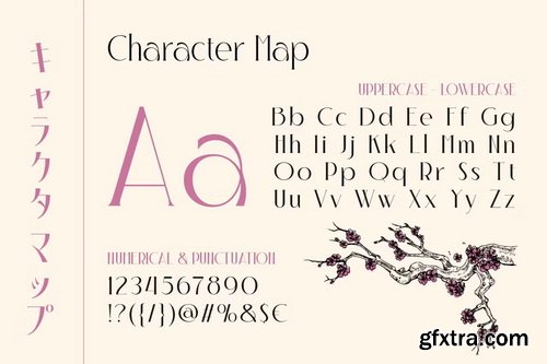 CreativeMarket - Irazhumi Japanese Scripts