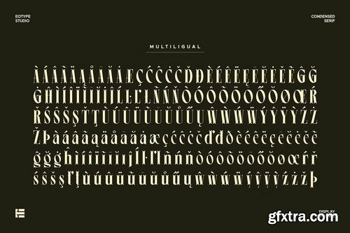 CreativeMarket - Leonice Display Font