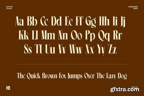 CreativeMarket - Leonice Display Font