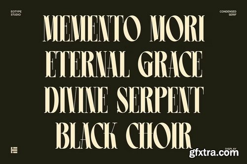 CreativeMarket - Leonice Display Font