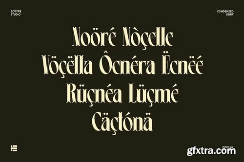 CreativeMarket - Leonice Display Font