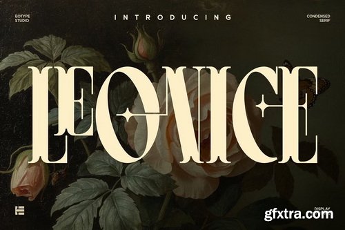 CreativeMarket - Leonice Display Font