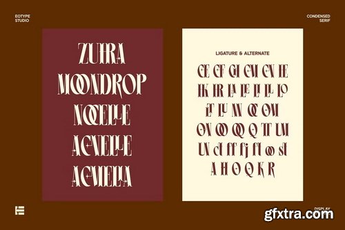 CreativeMarket - Leonice Display Font