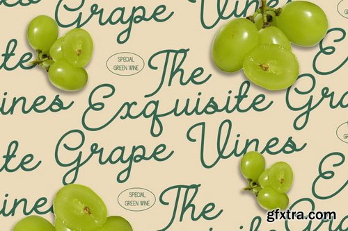 CreativeMarket - Gellica Soft Handwritten Font Duo