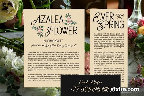 CreativeMarket - Gellica Soft Handwritten Font Duo
