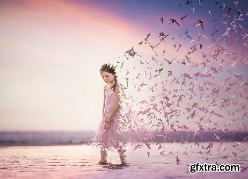 Tara Lesher Education - Lets&rsquo;s Fly Away&rdquo; Compositing Tutorial