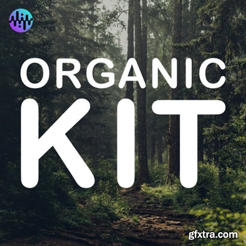 Noiiz Organic Kit