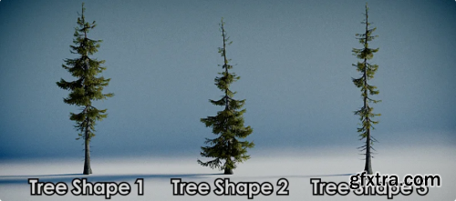 Gumroad - Fir Tree Generator