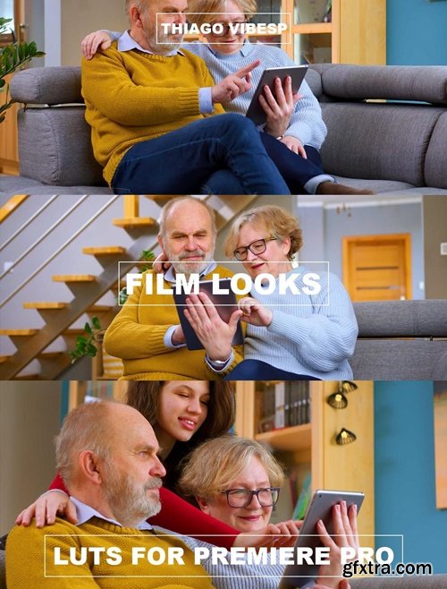 Thiago Vibesp Creative - Best BMPCC 4K & 6K LUTs for Premiere Pro