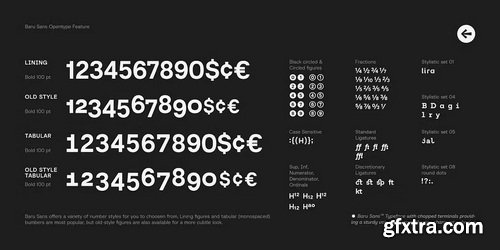 MyFonts - Baru Sans Font Family