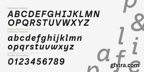 MyFonts - Baru Sans Font Family