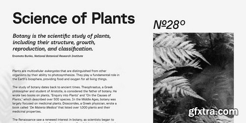 MyFonts - Baru Sans Font Family