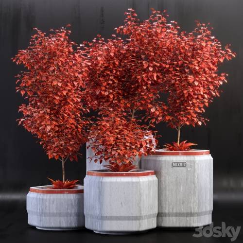 '3dsky Pro - Plants_01' '3dsky Pro - Plants_01'
