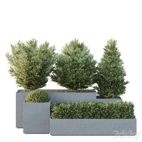 '3dsky Pro - HQ Tree and bush garden box outdoor VOL 27'