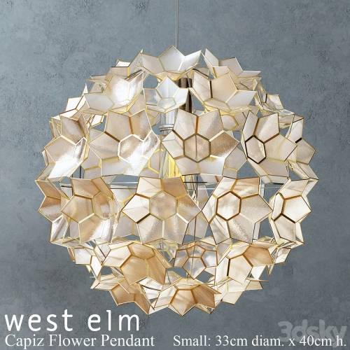 '3dsky Pro - West elm - Capiz Flower Pendant' '3dsky Pro - West elm - Capiz Flower Pendant'